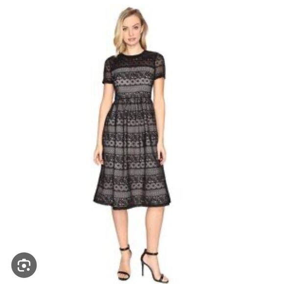 Maggy London Black lace Midi dress - Picture 1 of 6